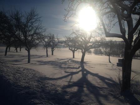 Villa Sukka Winterlingen Bagian luar foto